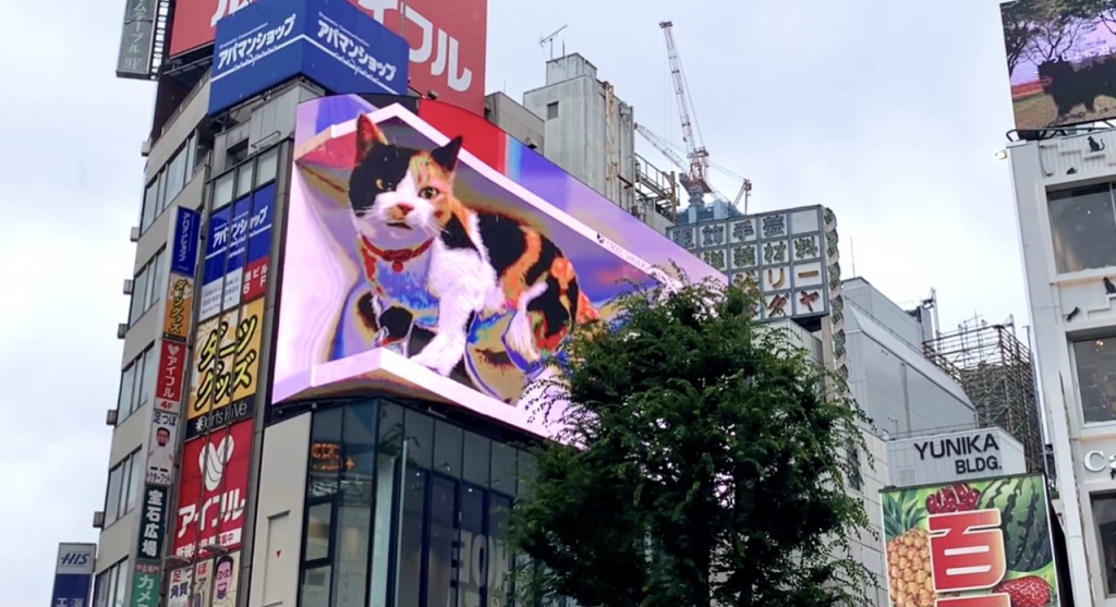 マイクロアド・デジタルサイネージとユニカ・ビジョンが、ビルのオーナーであるクロス・スペースの委託を受け開発した3D猫。日々、周辺を行き交う通行人を楽しませることが狙い。（ANJ/ Pierre Boutier）