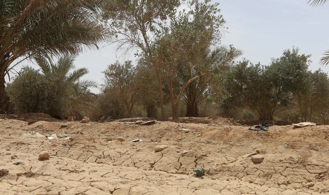 2022年4月18日、イラク・カルバラー。気候変動は、同地の「グリーンベルト」地帯にも影響を与えている。(AFP)
