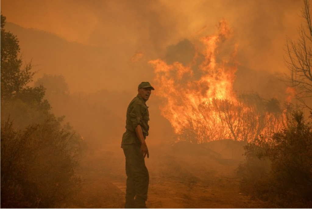 地元当局は、モロッコの消防隊が同国北部を襲っている猛烈な風による森林火災を抑える取り組みを強化したと発表している。 