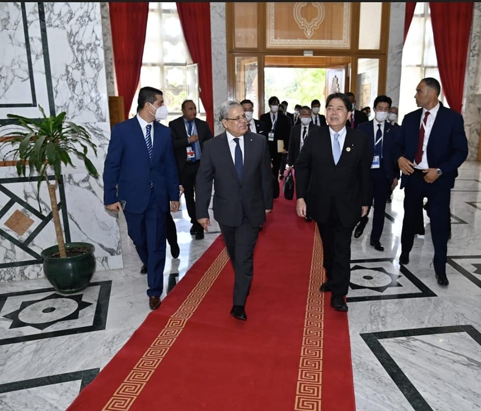 チュニジアの首都チュニスで会談する日本の林芳正外相とチュニジアのオスマン・ジェランディ外相。2022年8月26日撮影。(Facebook/外務・移民・在外チュニジア人省)