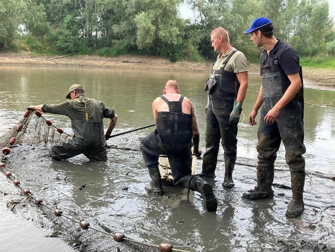 干ばつで干上がったライン川の湖で、泥に閉じ込められた魚を助けるオランダの釣り人たち。（AFP）