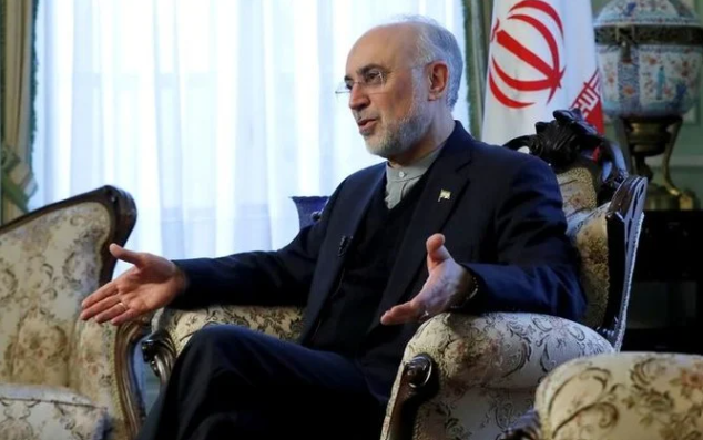 イラン原子力機構の元代表アリ・アクバル・サレヒ氏。（ロイター）