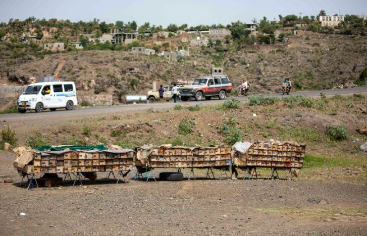 イエメンの当事者たちは、より本格的な停戦合意に向けた協議を行う中で、10月2日までさらに2カ月間停戦延長することに既に合意している。（AFP）