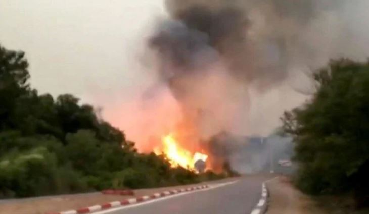 アルジェリアでは毎年、致命的な火災が発生している。(AFP)