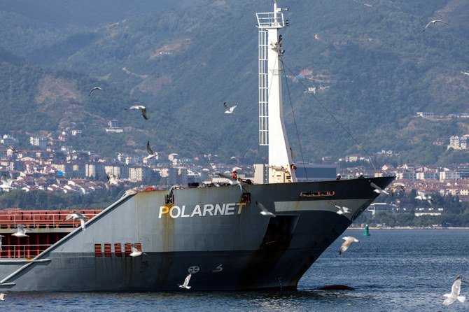 最終目的地である、トルコのコジャエリ県、イズミット湾にあるサフィポートデリンス港に入るウクライナ産の穀物を載せたトルコ船籍の貨物船、ポラルネット（Polarnet）号。（ロイター/File Photo）