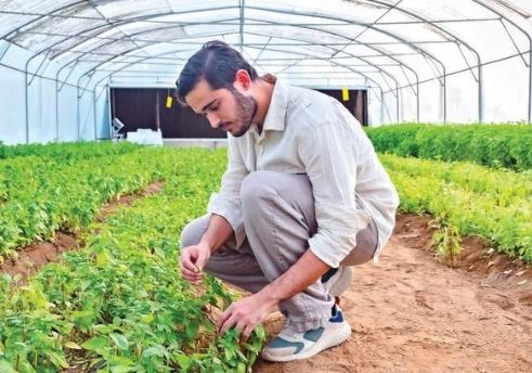 サウジアラビアの多くの企業がスマート農業に取り組み、サウジアラビアの食料自給率を高めている。(フーダ・バドシャタ撮影)