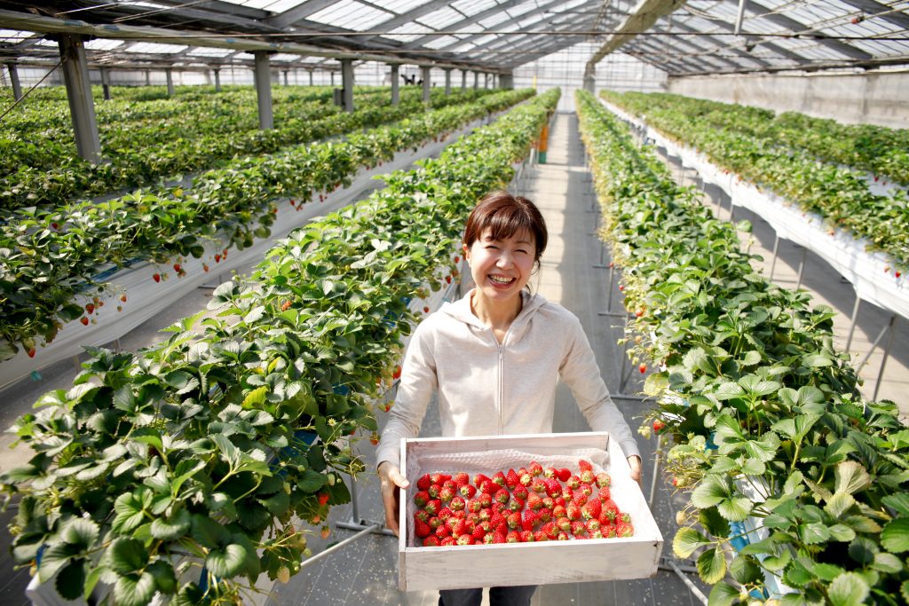 2022年の世界の食料安全保障指数で、日本は113か国中6位にランクされた。(Shutterstock)