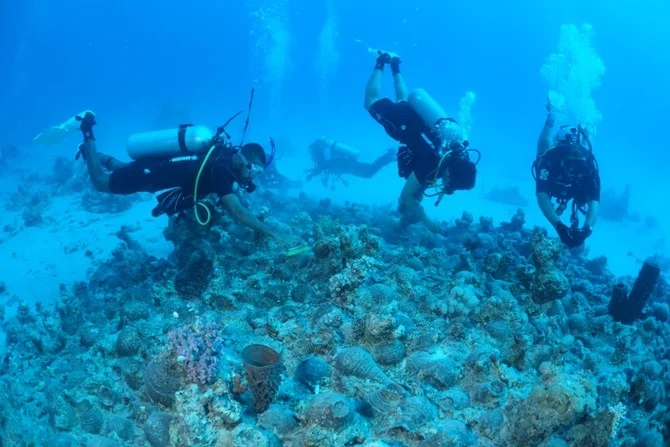 サウジアラビアとナポリ東洋大学の海洋考古学者たちが、沈没船ウムラッジの遺跡で発見された数百個の貯蔵瓶の一部を記録している。（文化省/ナポリ東洋大学）