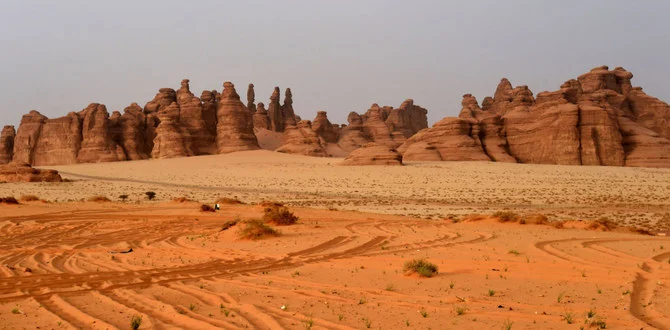 薔薇色の砂岩。2018年3月31日、サウジアラビア北西部の町アル・ウラー近郊のユネスコ世界遺産マダイン・サーレハ。（AFP）