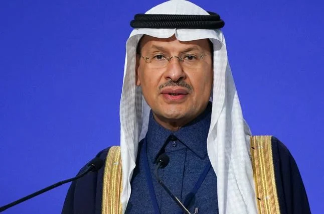 サウジアラビアのエネルギー大臣のアブドゥルアズィーズ ビン サルマン王子（ファイル）