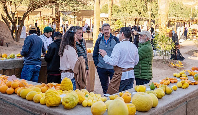 アル・ウラー柑橘類フェスティバルでは、地元の農家が今シーズン生産された29種類の柑橘類の果物を出展している。出展者は柑橘類を使った地元や世界のレシピや料理も提供する。（写真/提供）