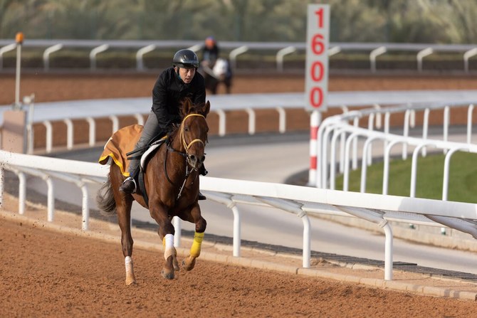 21日の朝、キングアブドルアジーズ競馬場で運動するリメイク（提供写真）