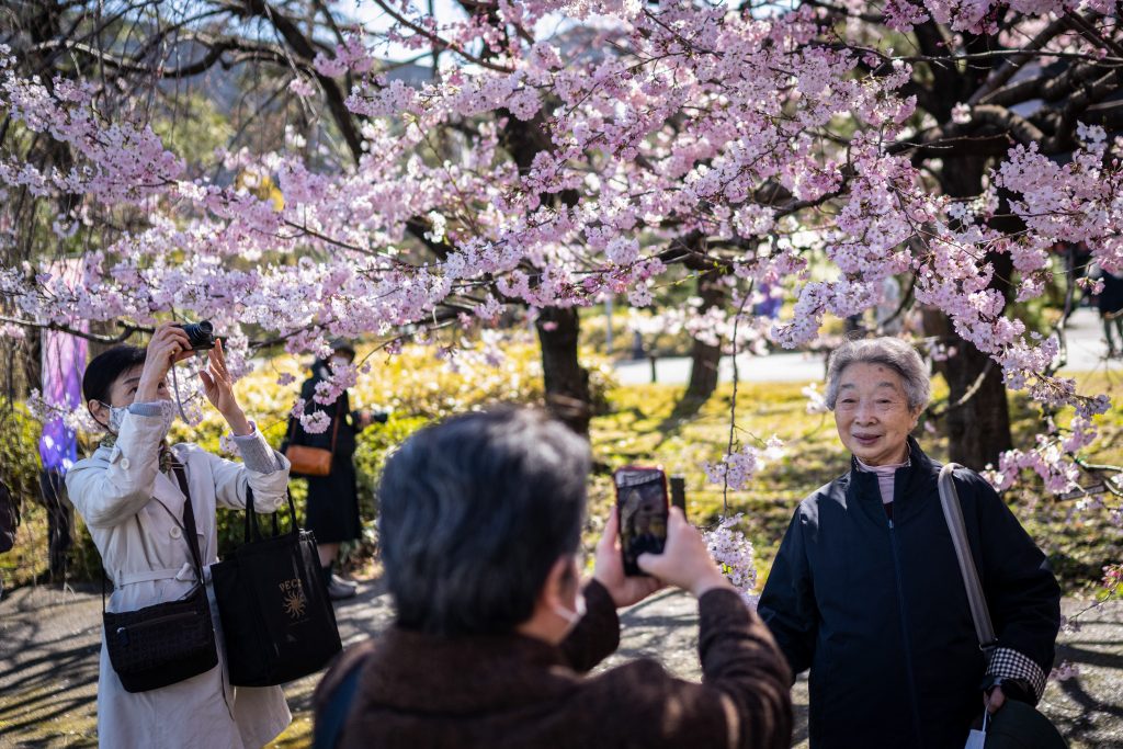 一般公開は１４年以降、桜と紅葉の見頃に合わせて例年実施。(AFP)
