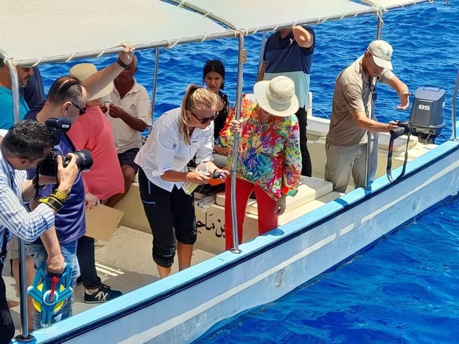 エジプトの紅海沿岸でサメの行動を監視する専門家チーム。（提供写真）