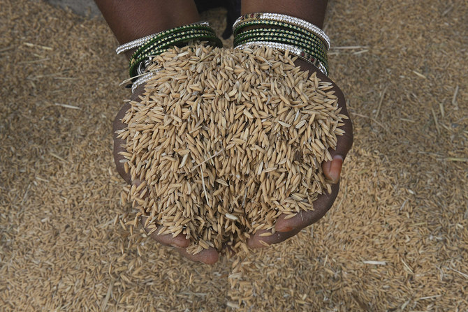 玄米を広げて乾燥させる農家の人。インドのハイデラバードから約55km離れたメダック地区のトゥープラン・マンダル。（ファイル/AFP）