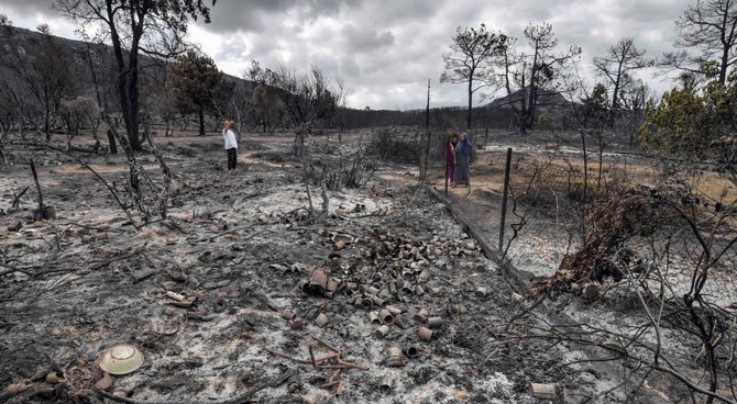 チュニジア北西部、アルジェリア国境に近いメルーラ近郊の野火で壊滅した農場。2023年7月26日。（AFP）
