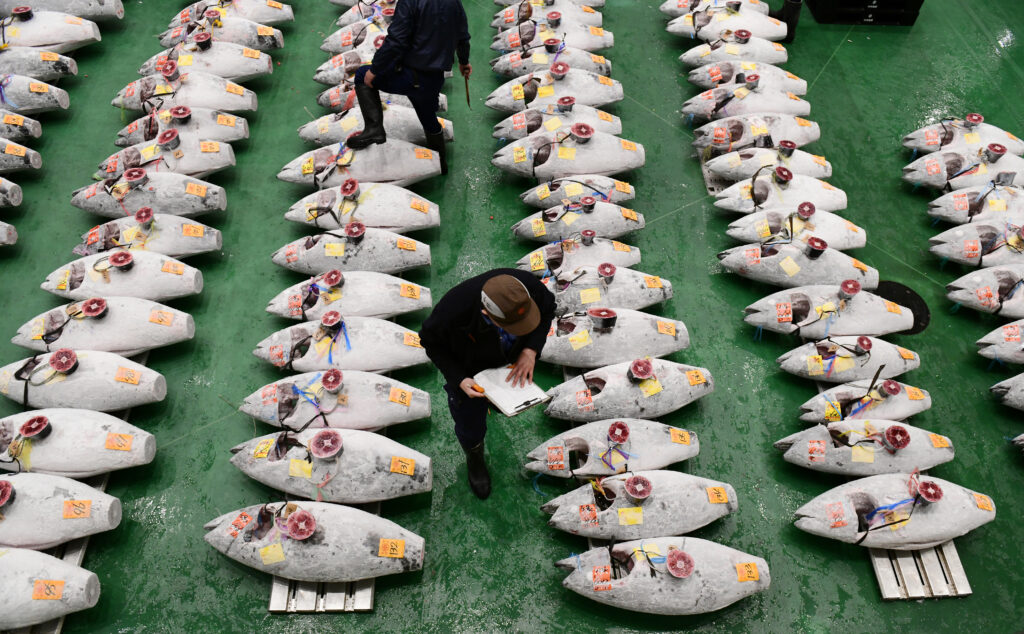 ２０１１年の原発事故後、５５カ国・地域が日本産食品の禁輸を含む規制を導入。(AFP)