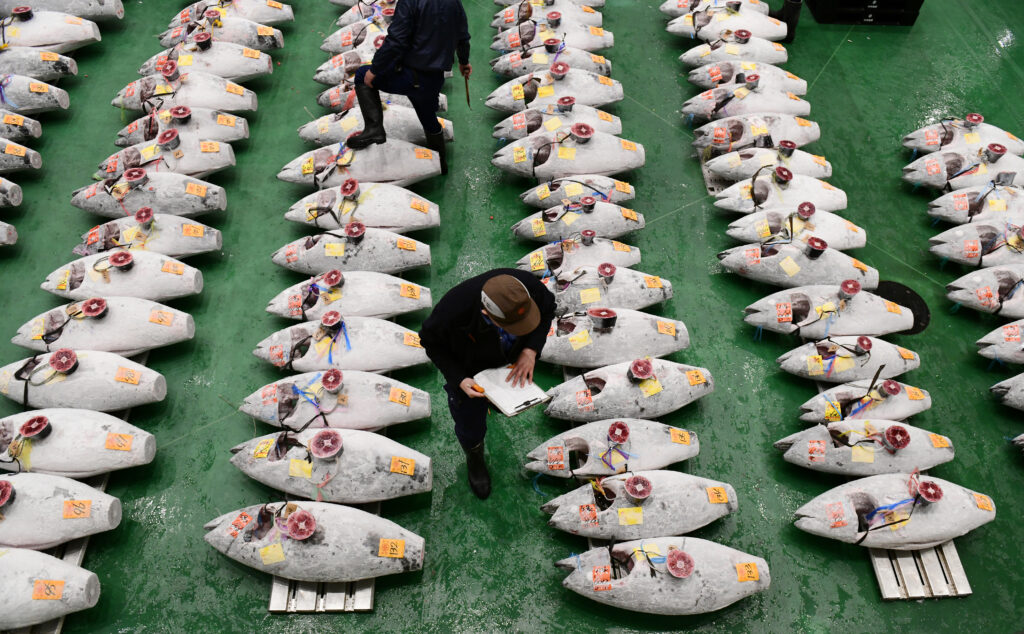 2011年の原発事故後、55カ国・地域が日本産食品の禁輸を含む規制を導入。(AFP)