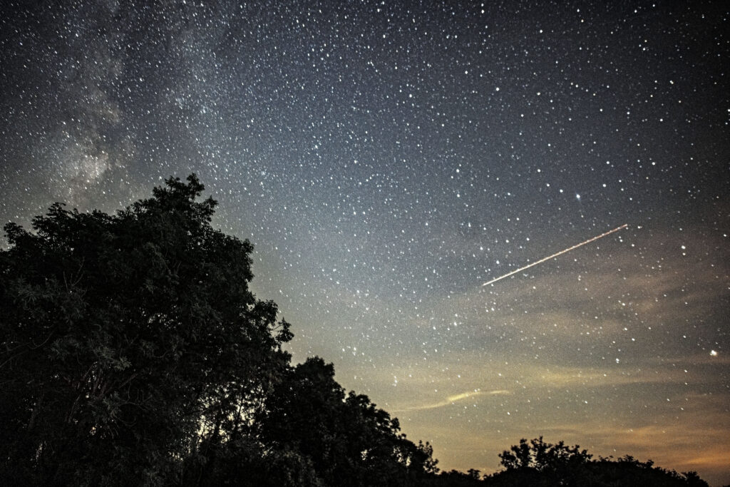 西村彗星は夜空で肉眼で見えるようになるかもしれない。（『APF通信』）