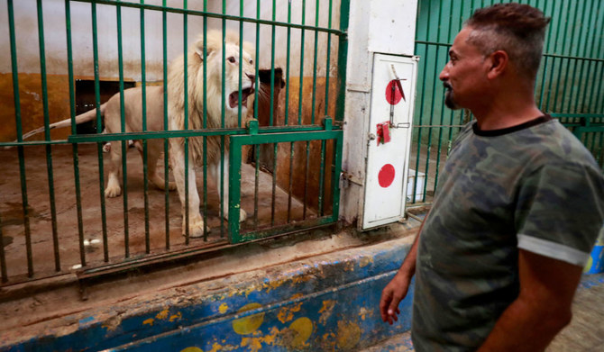 2023年8月8日、イラク首都のバグダッド動物園で、うだるような暑さの中で檻に入っているライオンの反応を見つめる飼育員。（AFP）