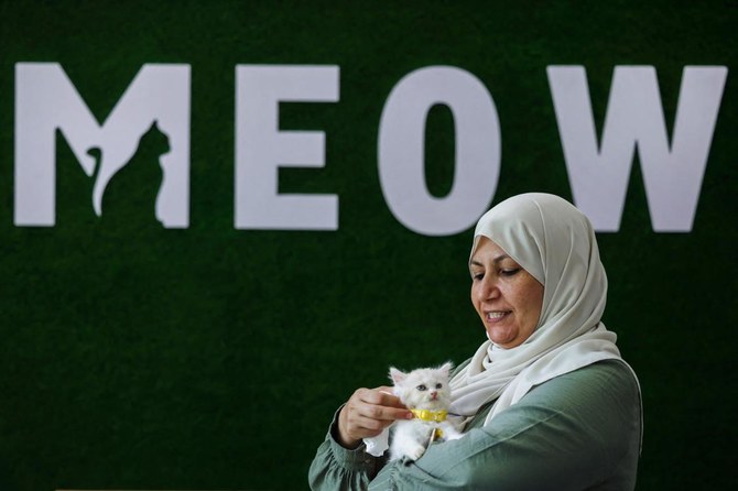 新しくオープンした猫カフェで猫を抱く店主のネフマ・マアバドさん。ガザ市。（AFP）