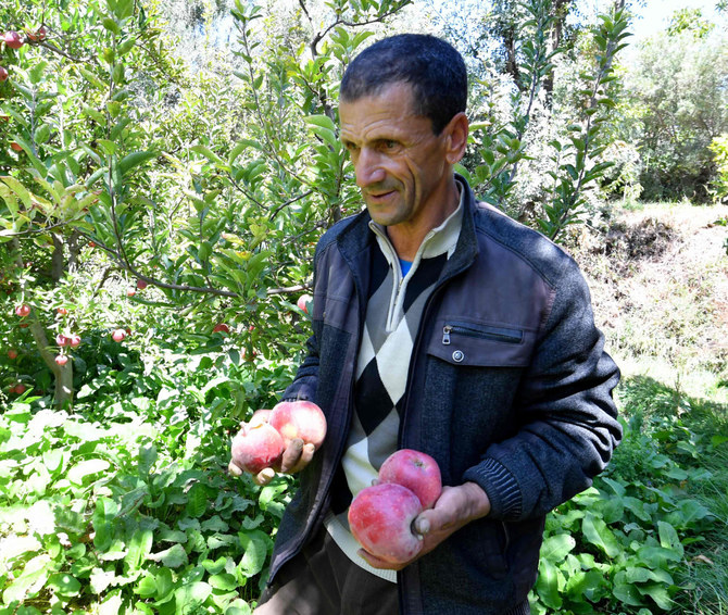 熟す前に木から落ちたリンゴを見せる農家のモハメド・アル・ムータワクさん。モロッコ中部の高アトラス山脈にあるイネグヘデ村。（AFP）