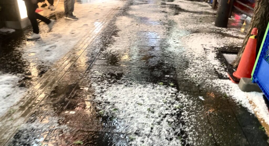 今回の“ひょう”によるけがや被害は報告されていないが、雷雨はしばしば被害をもたらす。冬の到来を前に、今後も雷雨が予想される。(ANJ)