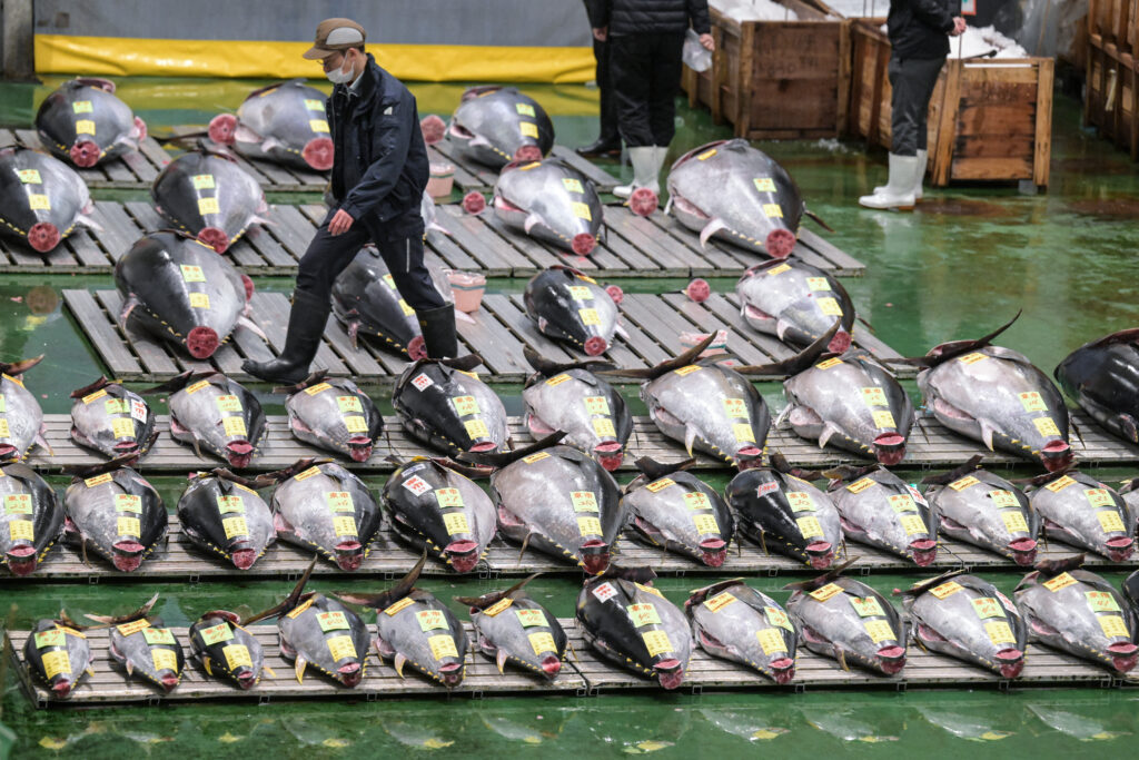 市場を経営する東京都は、温泉と都内他地区のホテルへの来客も含め、年間約260万人の集客を期待する。(AFP)