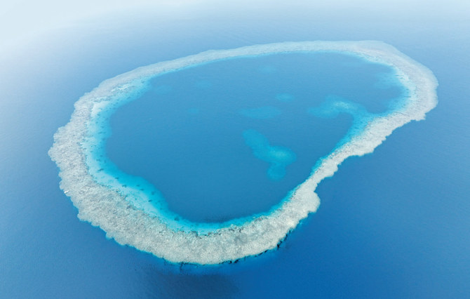 サウジアラビアの国立野生生物センターが主導した10年にわたる探検で、王国南部の紅海沿岸に「ブルーホール」として知られる極めて深い海底陥没穴が20個発見された。(NCW写真）