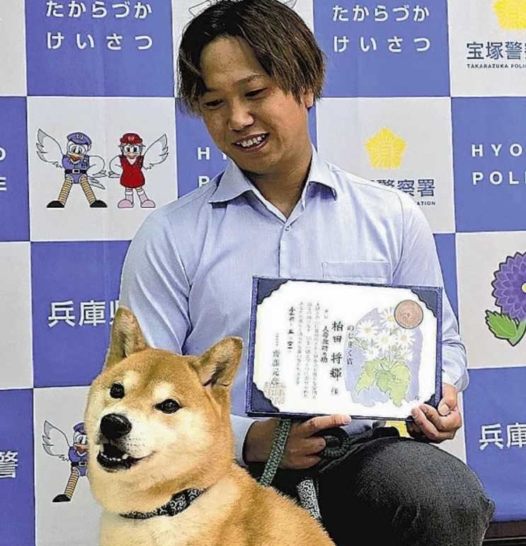 犬のテリタマと30歳の飼い主は5月21日、その善行に対して県の「のじぎく賞」を授与された。(Via X)