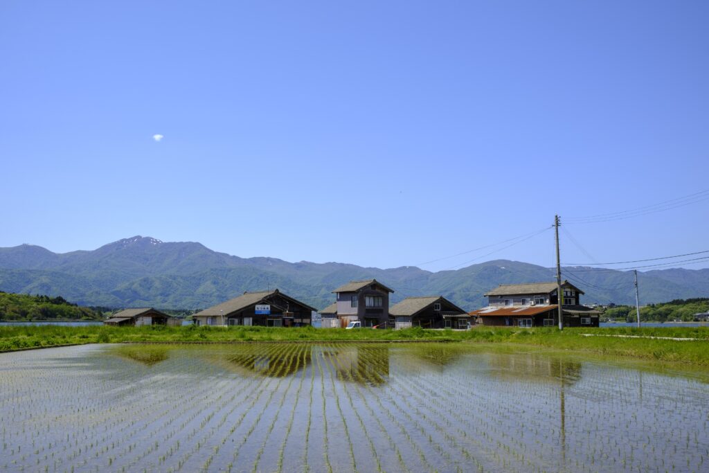 佐渡島の金山は１７世紀には世界最大級の金生産地となり、機械化が進む中で１９世紀半ばまで手工業による金生産が行われた。 (AFP)