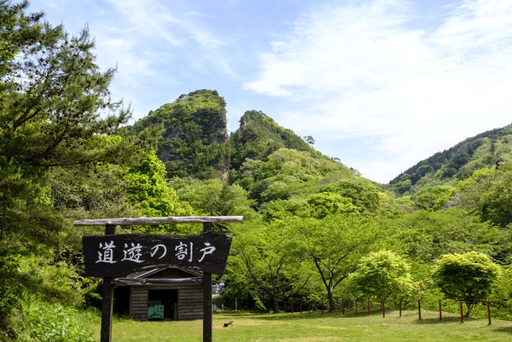 20分ほどの審議で世界文化遺産への登録が決まると歓声が上がり、用意された金色のスティックバルーンを打ち鳴らして喜びを分かち合った。(AFP)