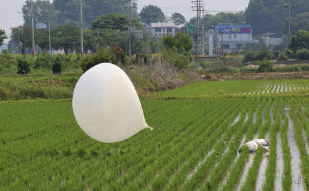 2024年6月10日、韓国・仁川の水田で、北朝鮮が飛ばしたとみられる気球。(AP/ファイル)