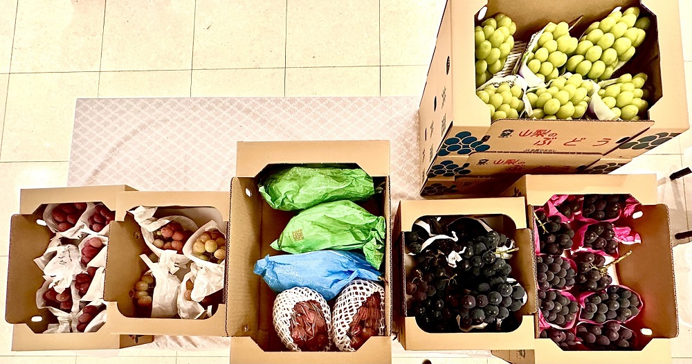 東京の湾岸協力会議(GCC)諸国の大使が、オマーン大使館主催の貴重なブドウの試飲会に参加した。(ANJ)