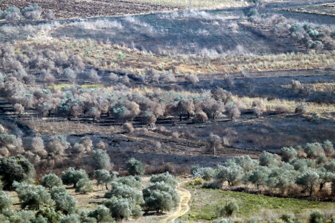 9月23日にイスラエルとヒズボラの戦闘が始まって以来、レバノンの農業地域は砲火に巻き込まれている。(ファイル/AFP)