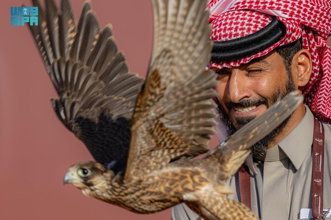 このフェスティバルは、サウジアラビア国内外の鷹匠がその技術を披露し、3600万SRを超える多額の賞金をかけて競い合う場を提供する。(SPA)