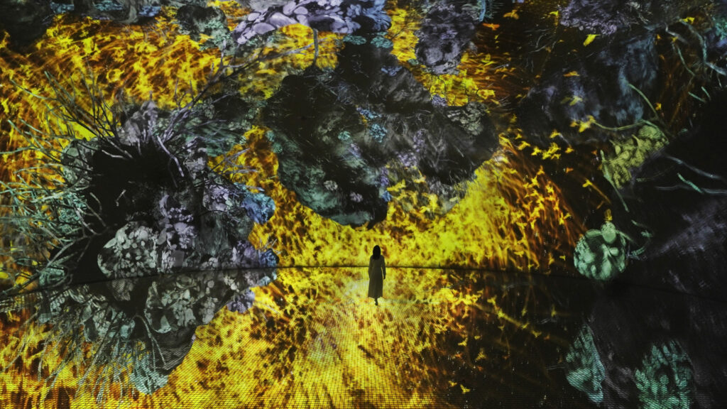 東京を拠点とするアート集団teamLabによって考案されたteamLab Phenomena Abu Dhabiのインスタレーションは、「環境現象」というコンセプトに基づいている。(提供)