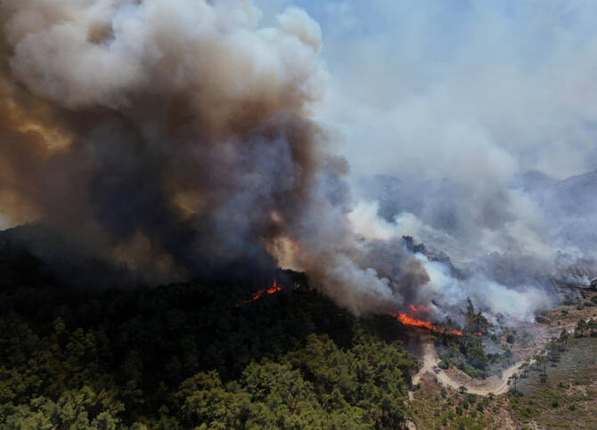 2025年7月6日、シリア、ラタキア郊外で、ドローンが山火事を撮影。(ロイター)