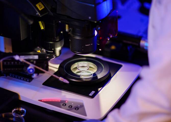 KAUSTの研究から得られる知見は、妊娠を計画中に処方薬や他の薬物を服用している女性にとって重要な意味を持つ。(提供)